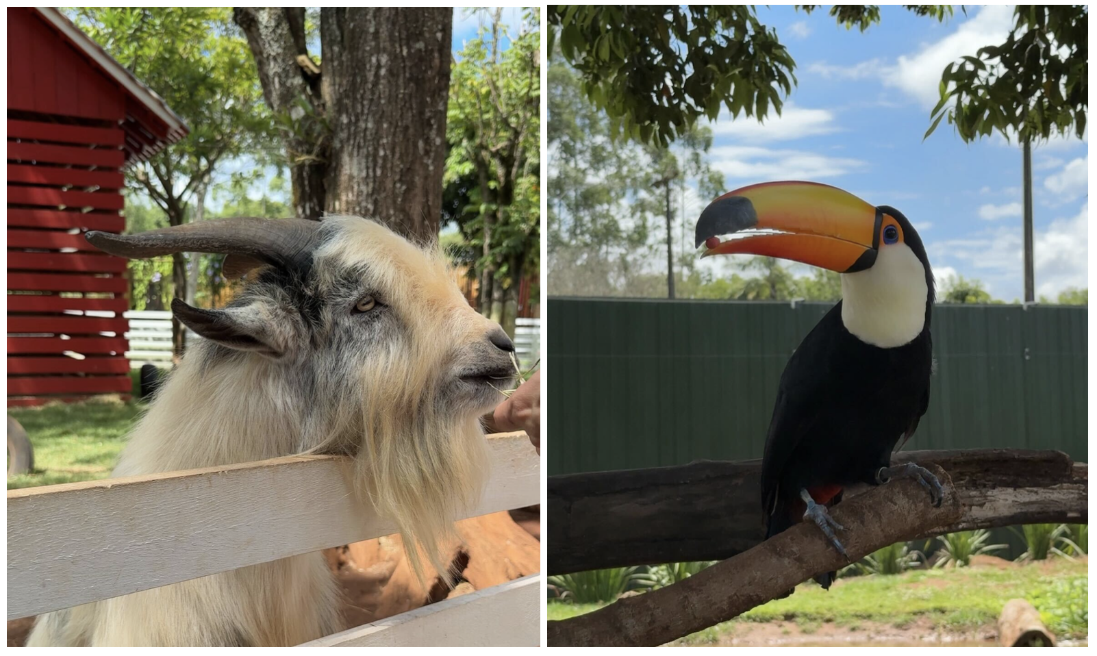 passeios em foz do iguaçu